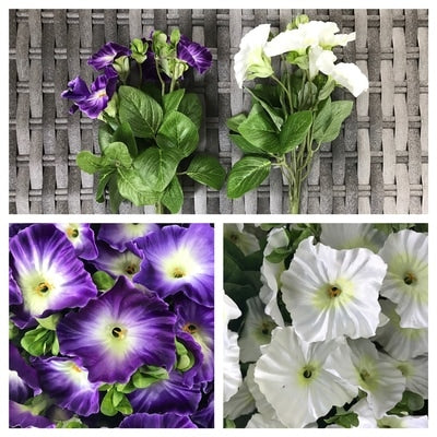petunia bush
