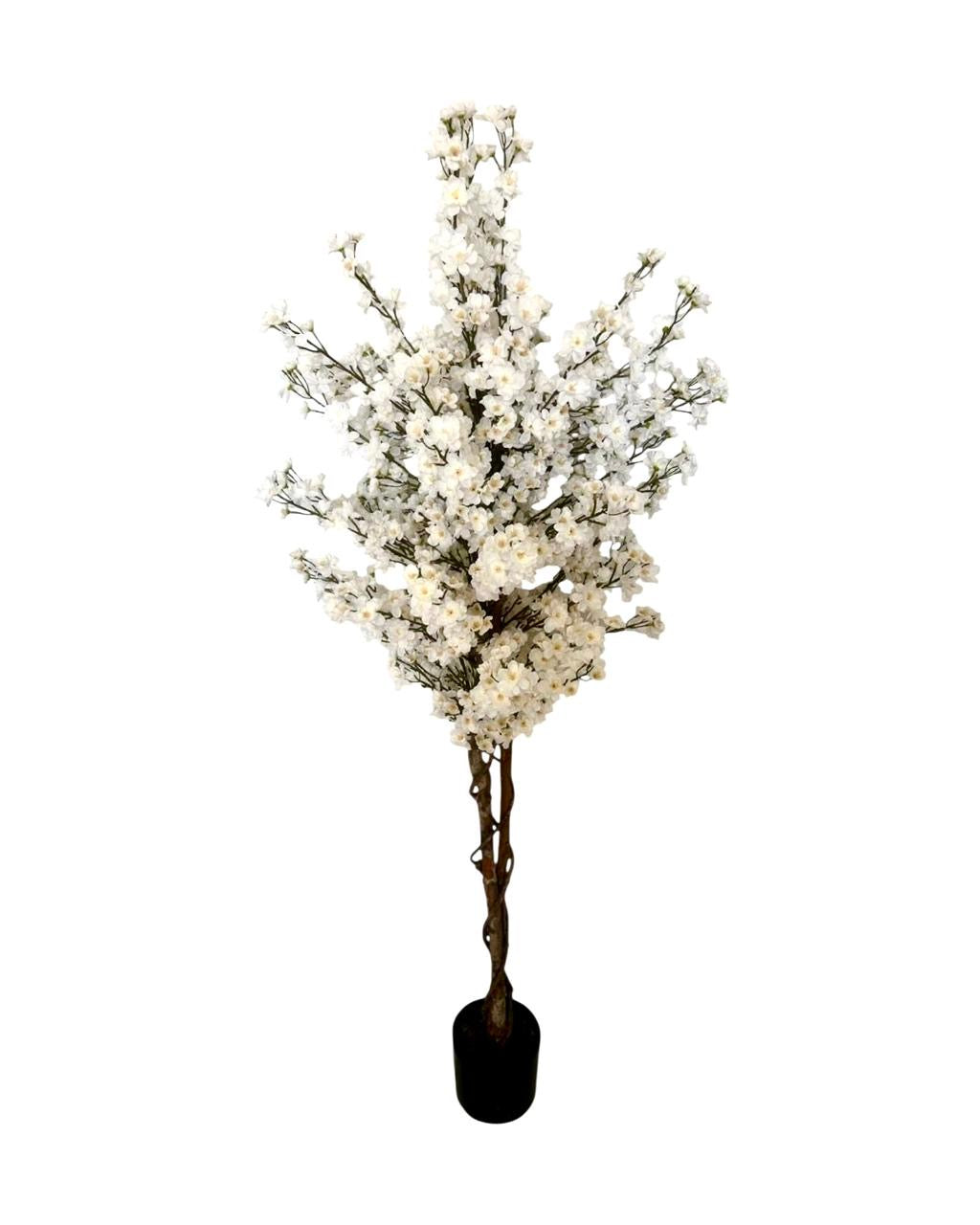 5ft cherry blossom tree