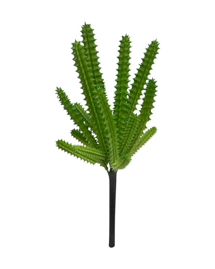 suc 26cm succulent green1