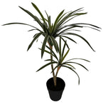 DRACAENA TREE 17"