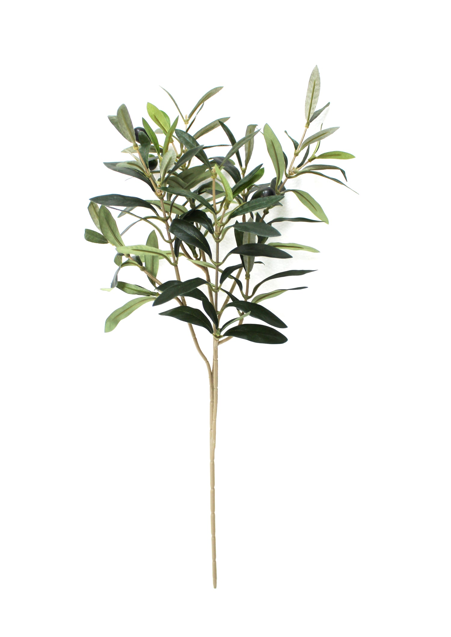 olive sprays