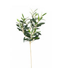 OLIVE SPRAY 5OCM (NO OLIVES)