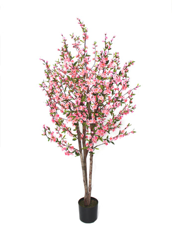 5FT CHERRY BLOSSOM TREE PINK