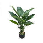 3FT SPATHIPHYLLUM PLANT 80CM