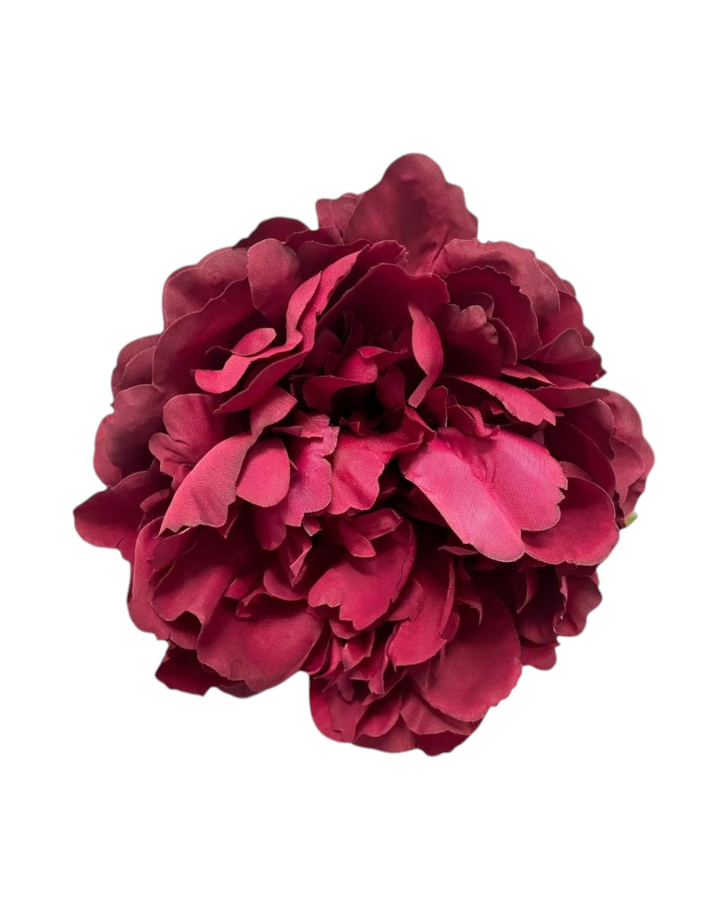 peony