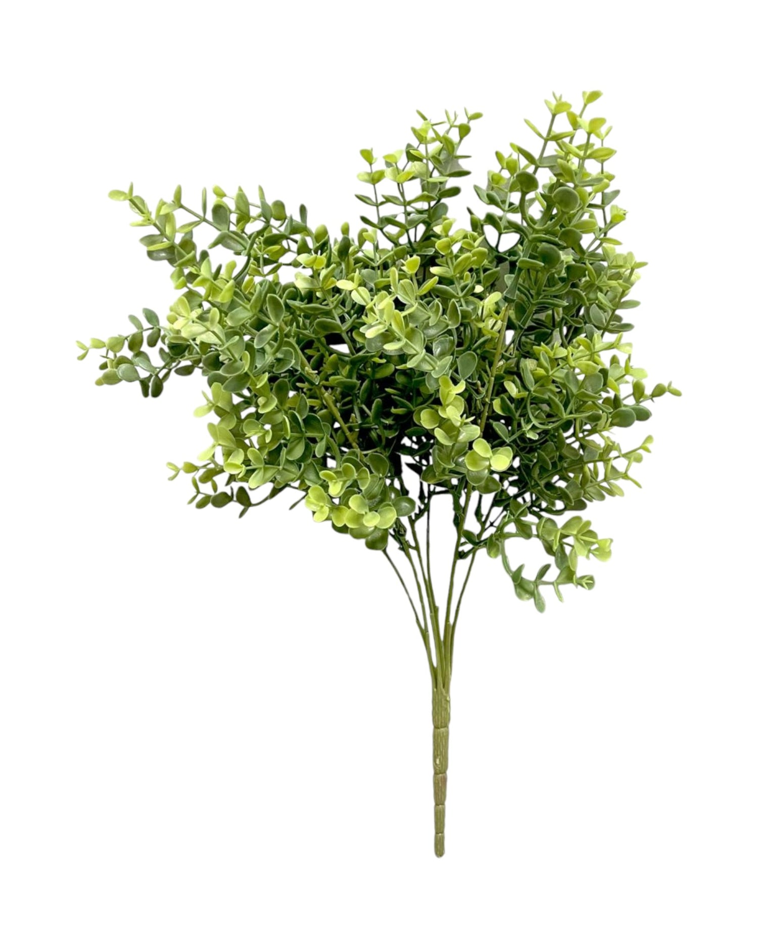 eucaluptus bush 44cm x9