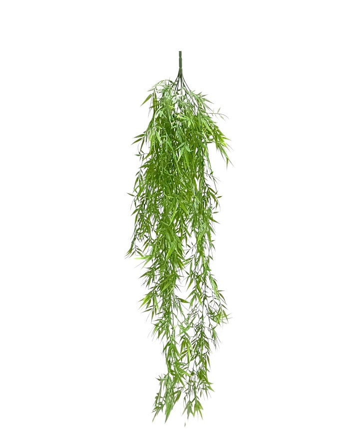 bamboo hang bush x10