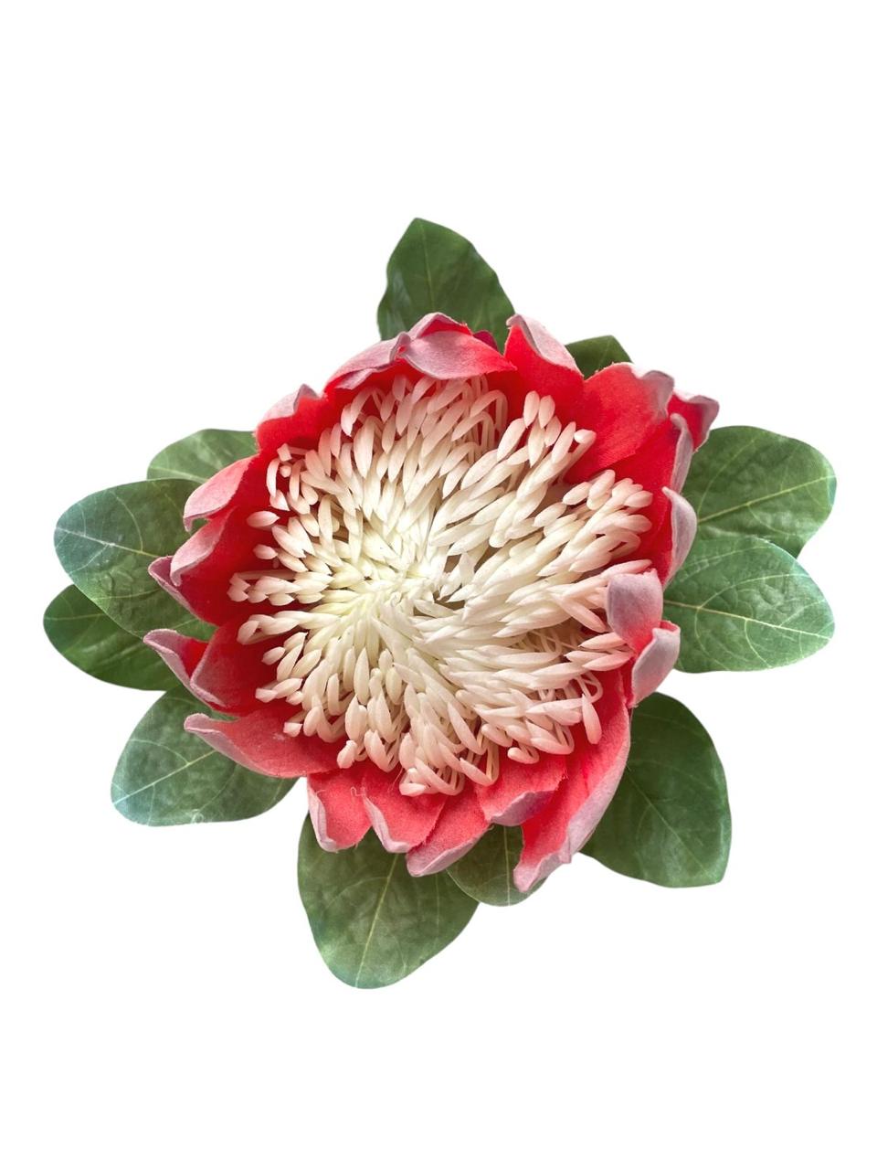king protea