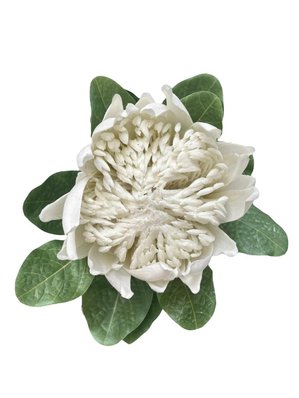 FLOWERS – floristworld