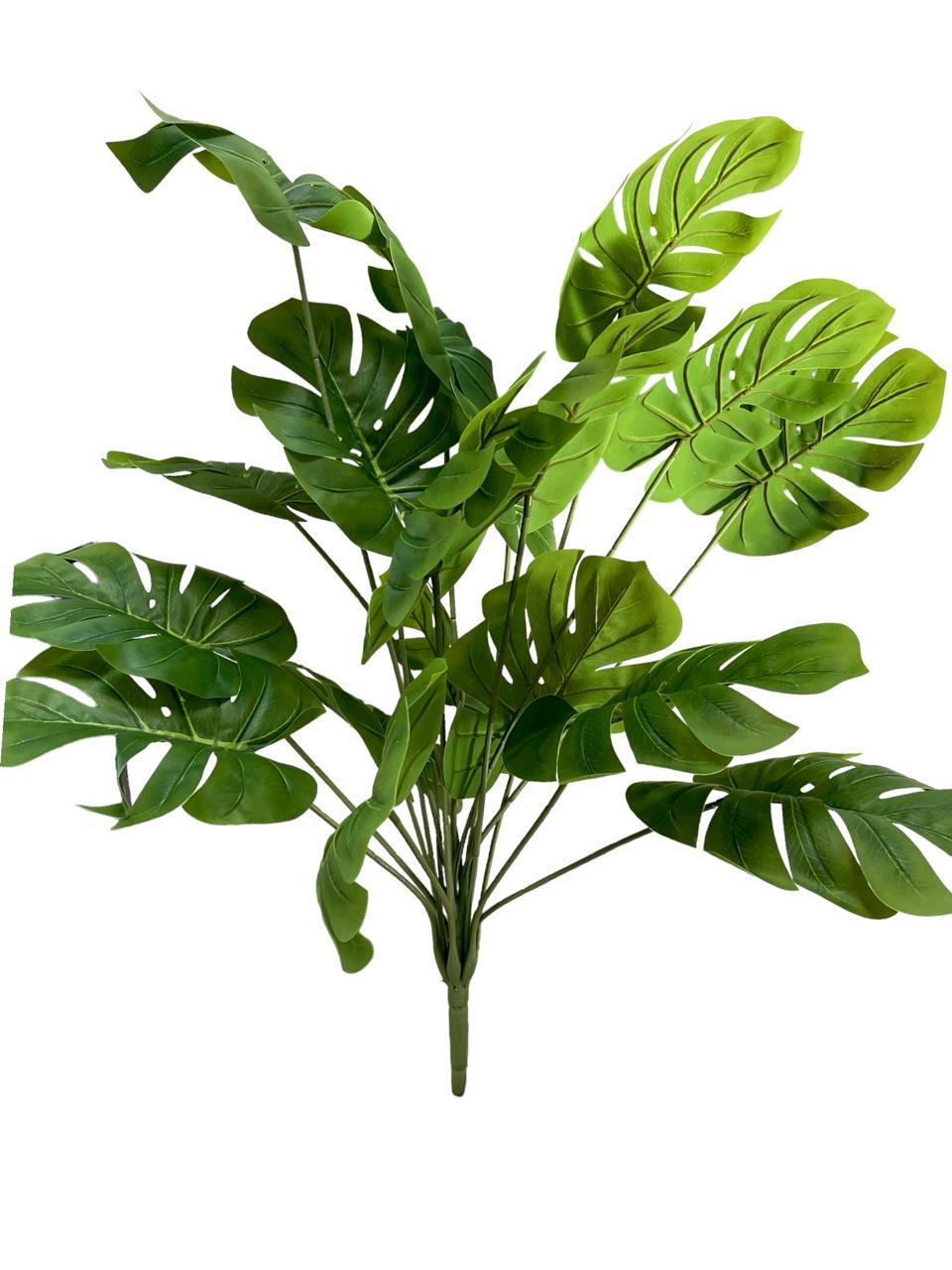 monstera bunch 68cm 18lvs