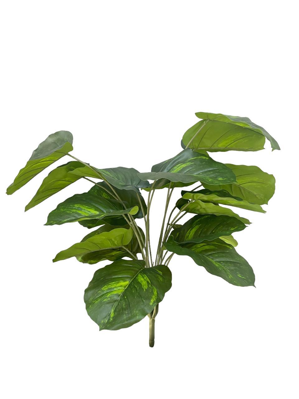scindapsus bunch 62cm 18lvs