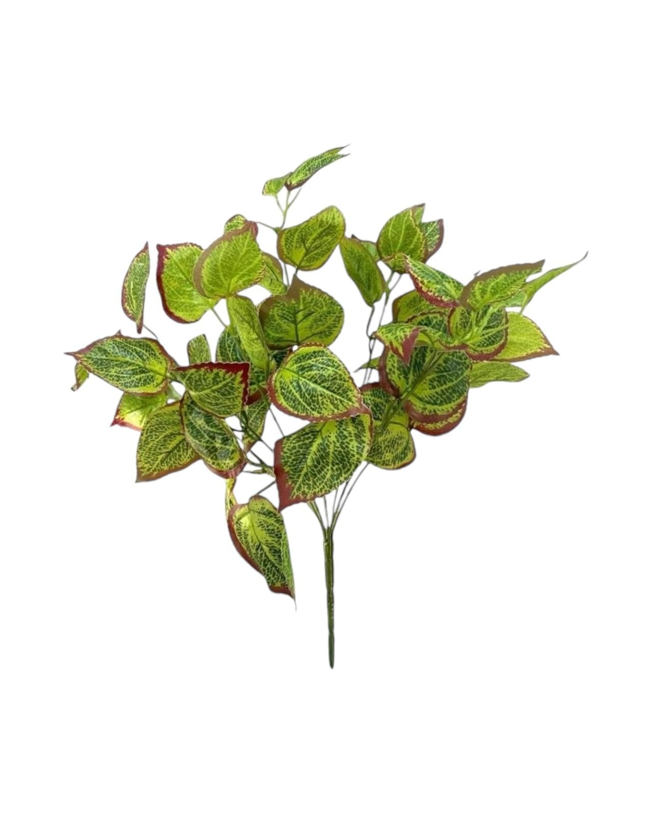 perilla bush