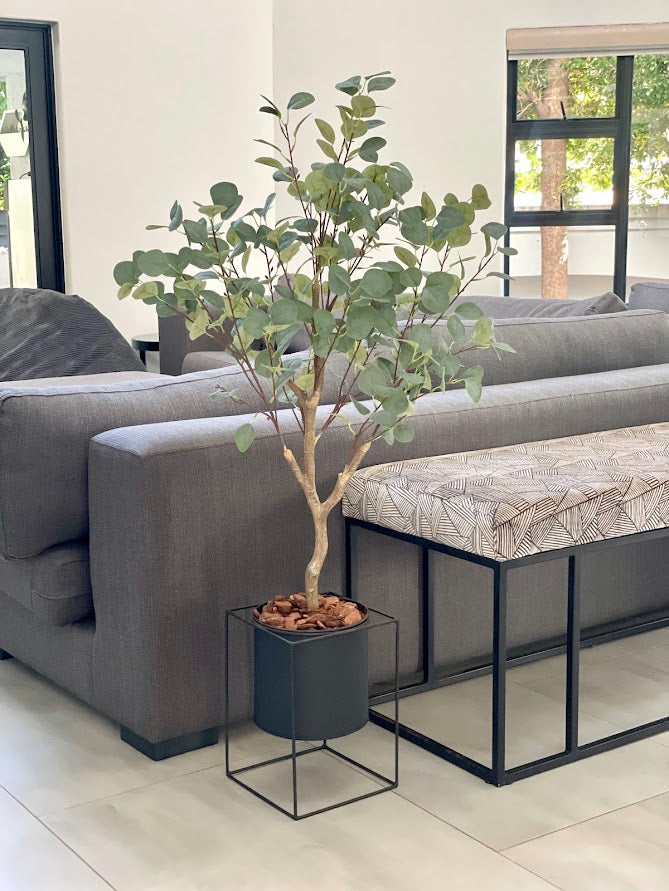 4ft eucalytus tree and black steel planter combo
