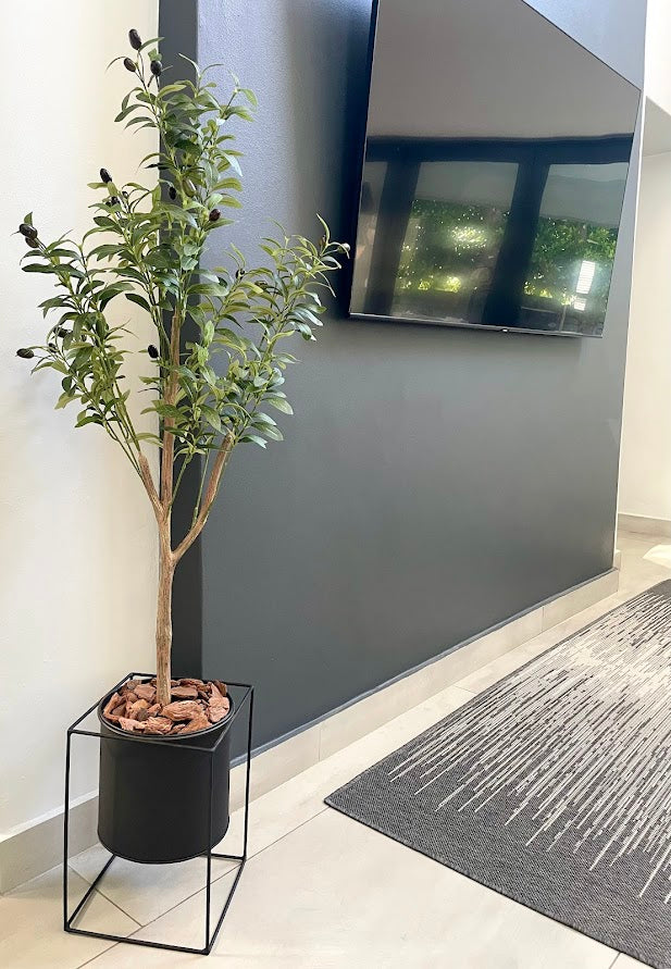 4ft olive tree and black steel planter combo