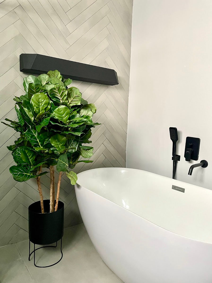 4ft fig tree and black metal round planter