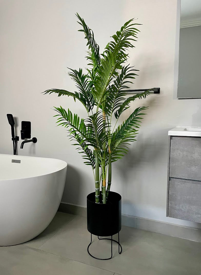 4ft areca palm tree and black metal round planter
