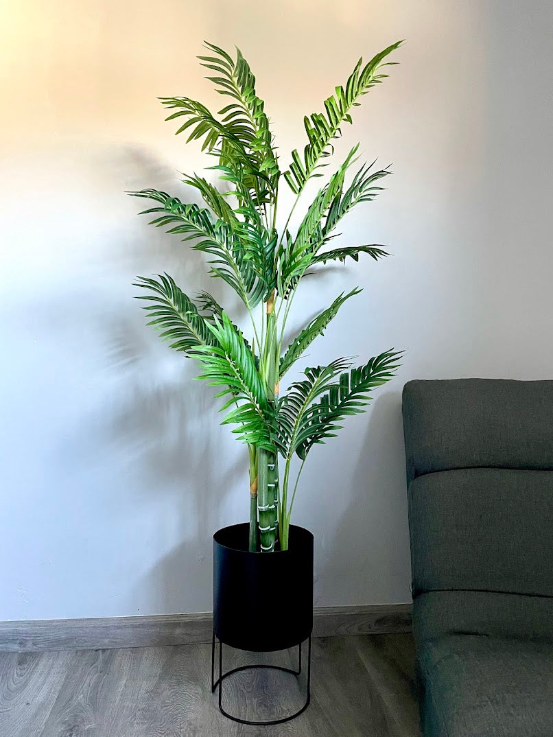 4ft areca palm tree and black metal round planter