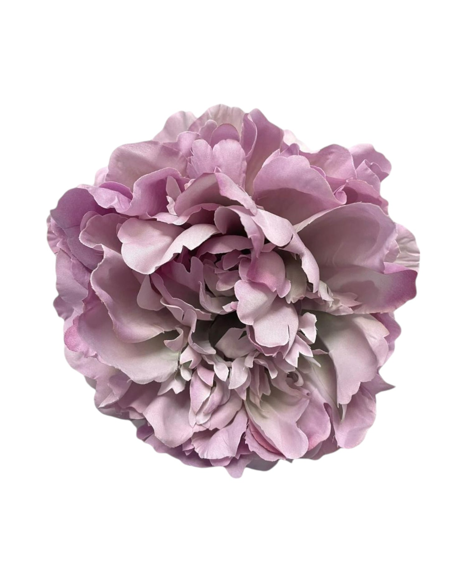 peony
