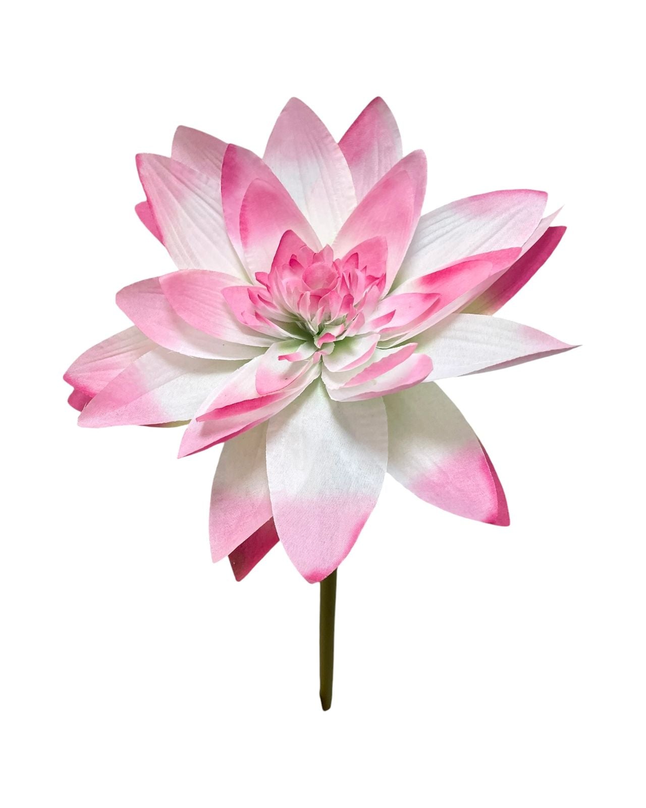 lotus flower