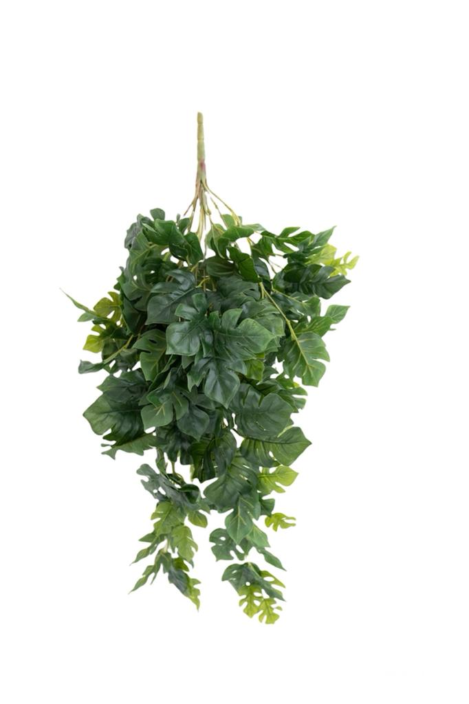 delicious monster 75cm x11 hanging bush