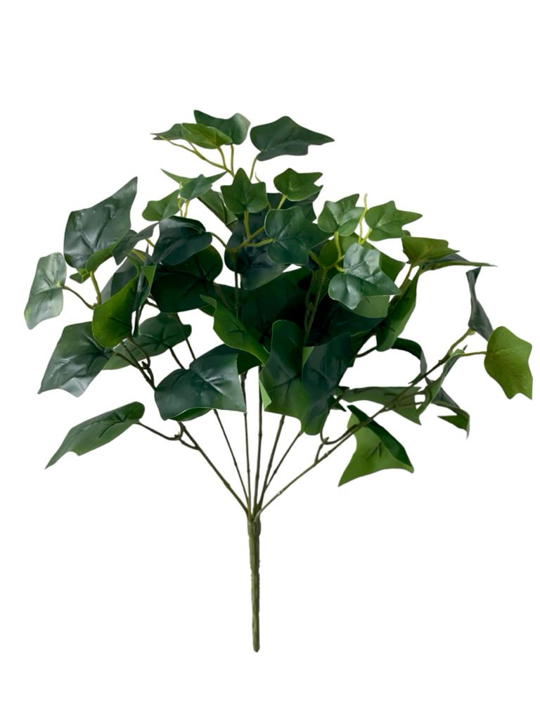 ivy 41cm 50lvs