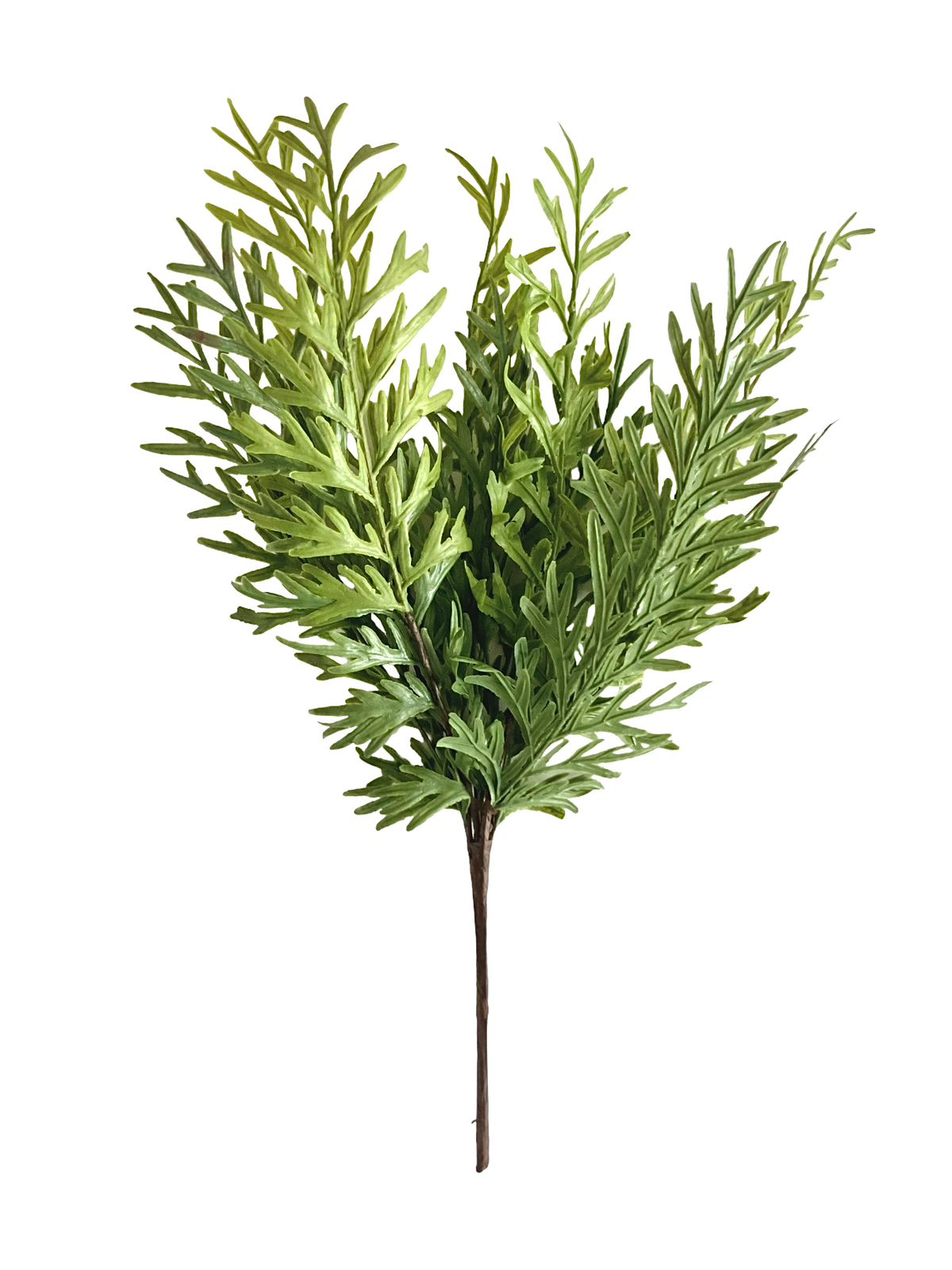 fern bush 43cm