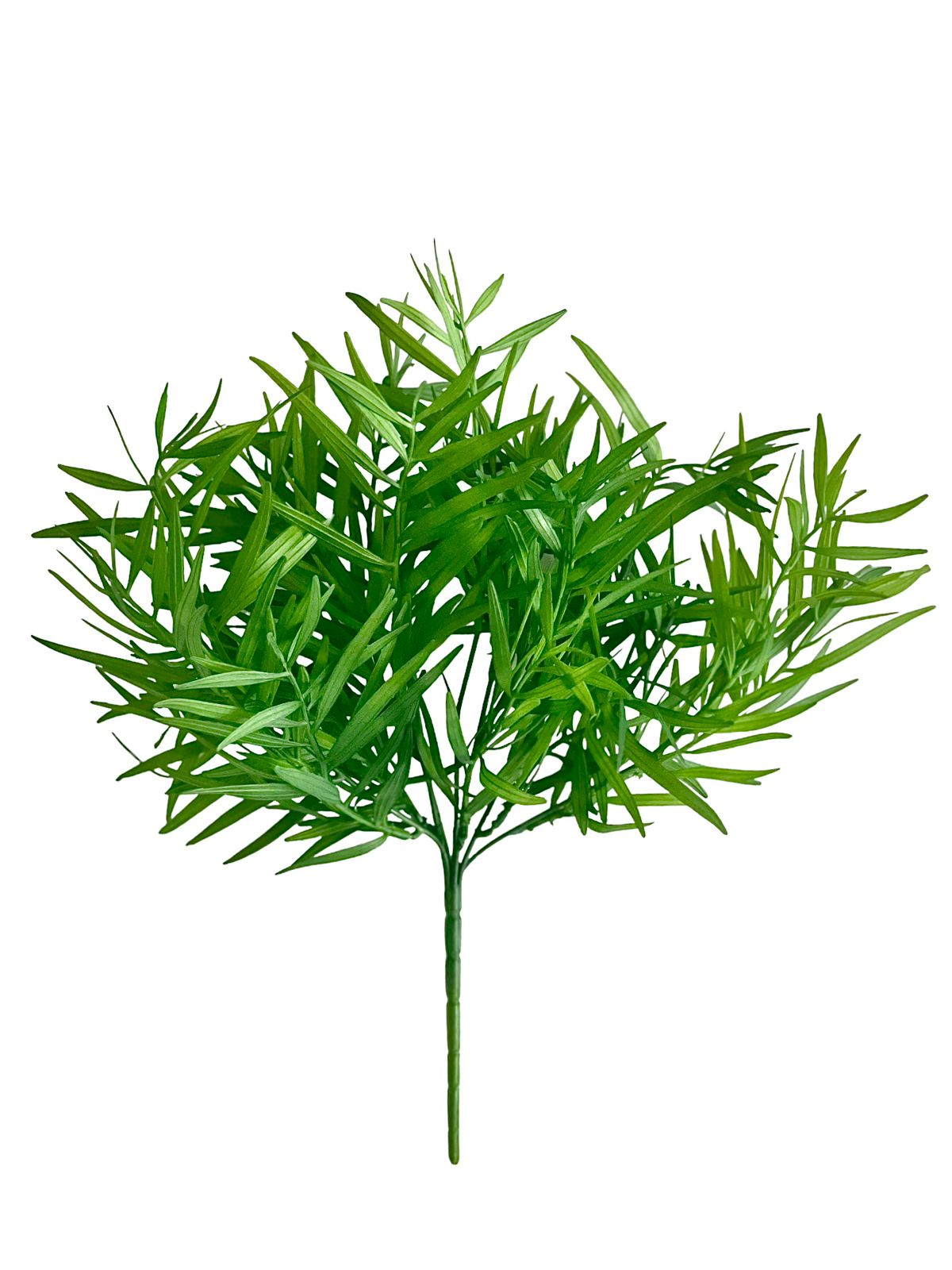 chamaedrea bush x7 40cm