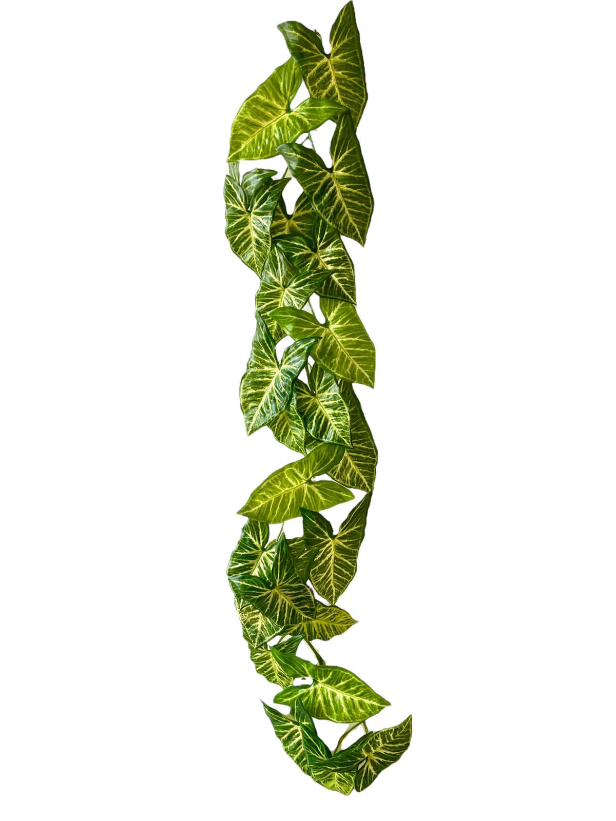 syngonium vine 130cm  24lvs