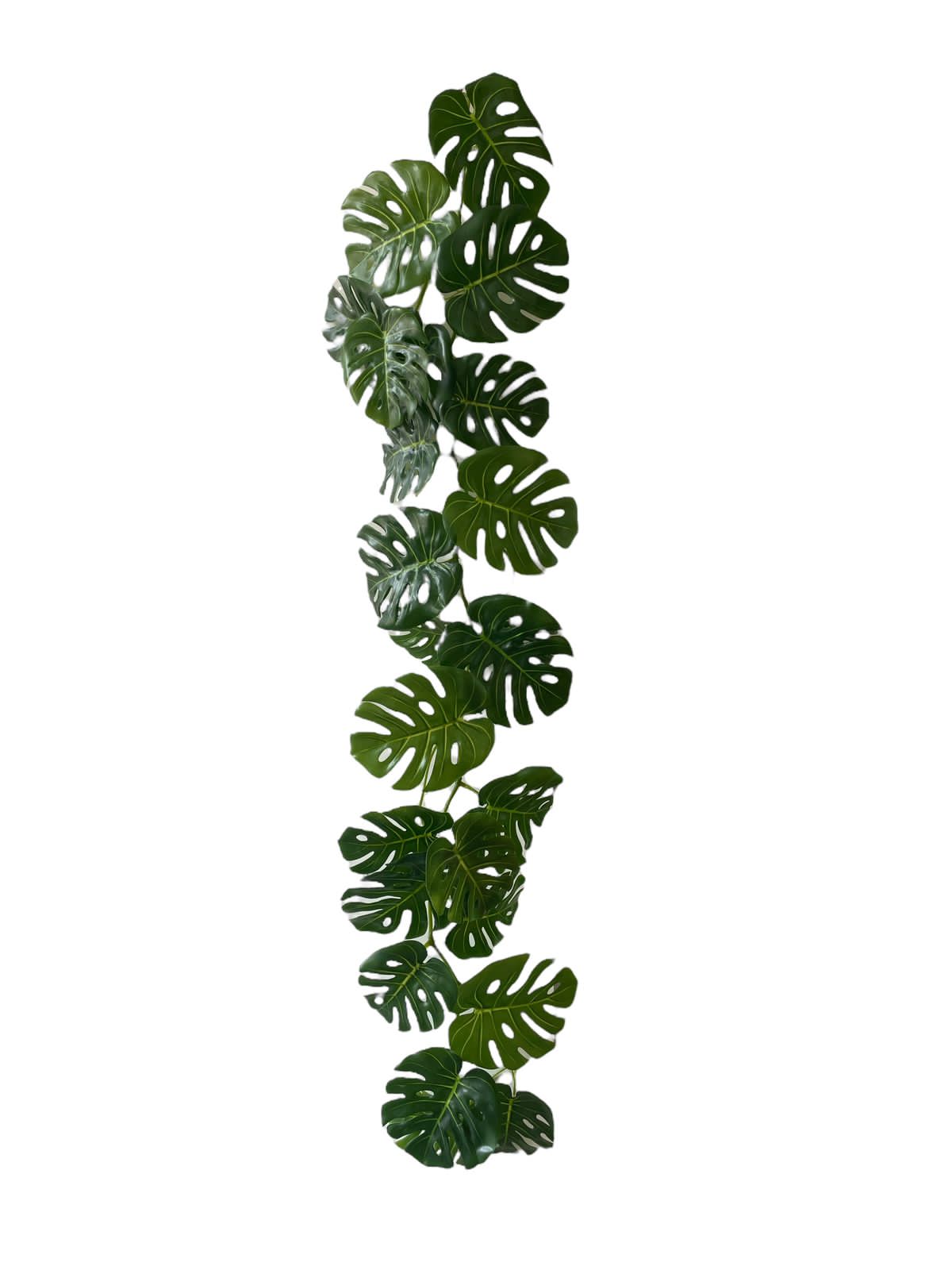 monstera vine 130cm 24 lvs
