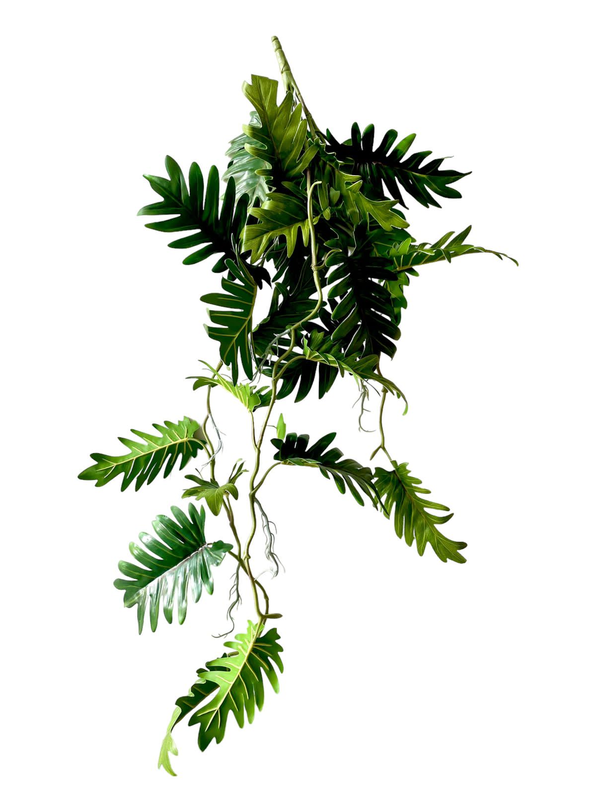 philodendrom vine r/t 88 cm 26lvs