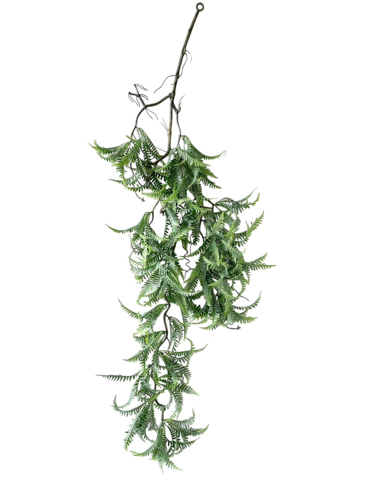 fern frosted 87 cm hang bush