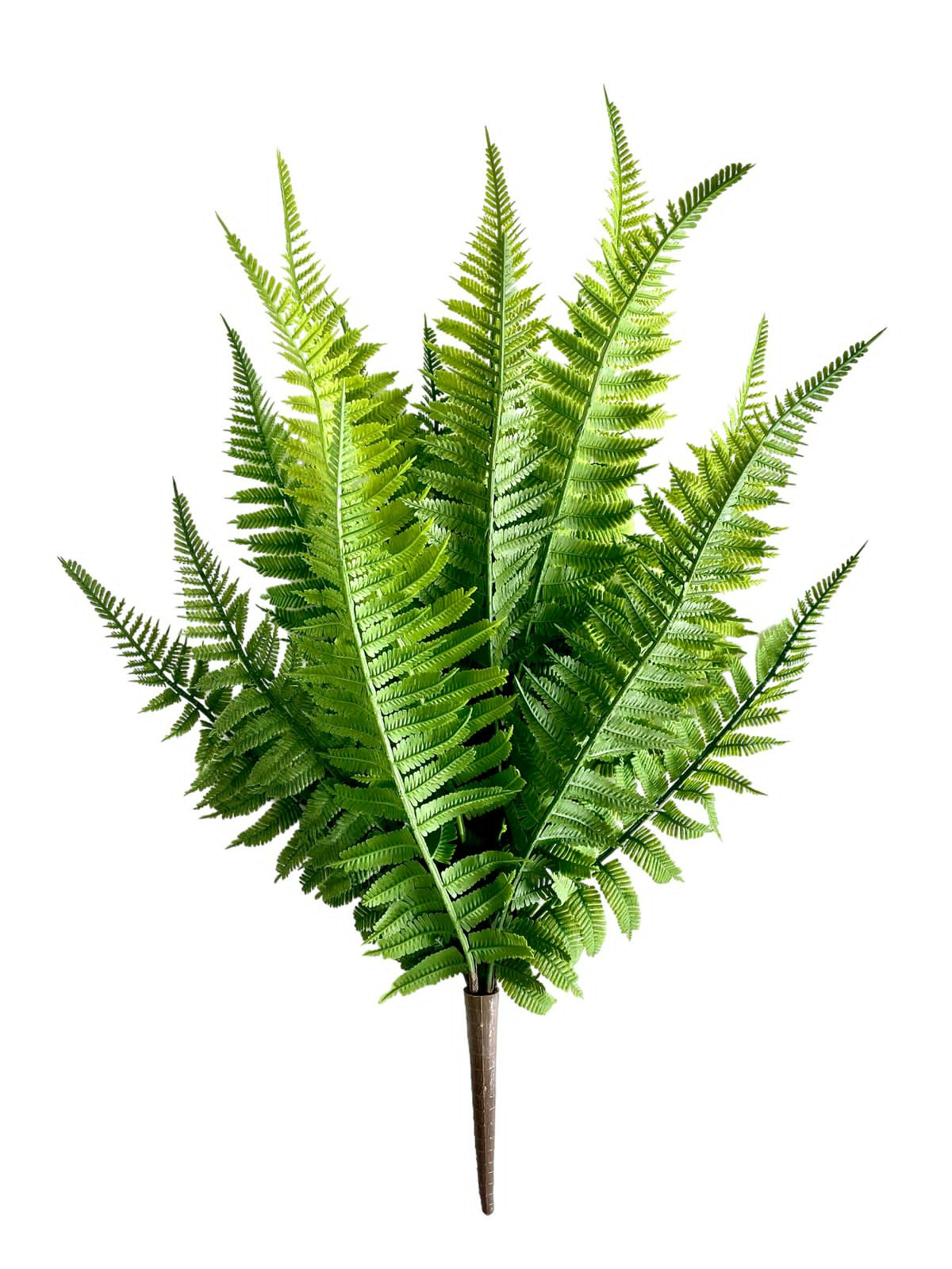 fern hanging 50cm