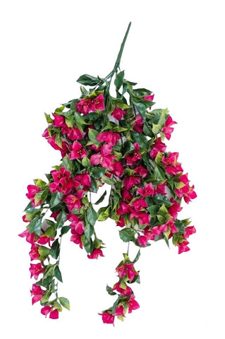 BOUGANVILLA PINK UV LRG BUSH