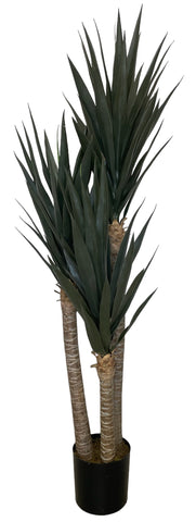 5FT YUCCA TREE 150CM