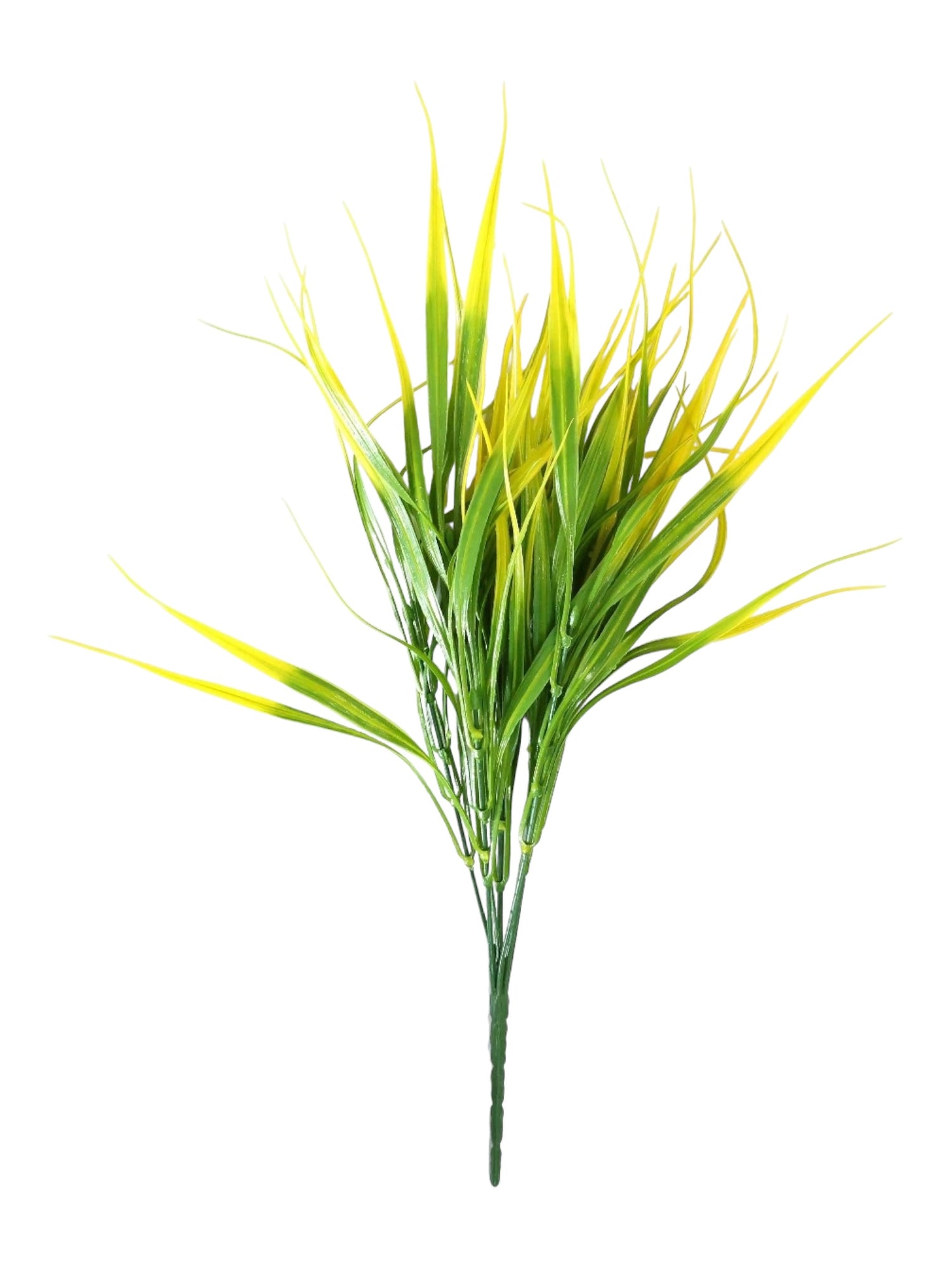 vanilla grass