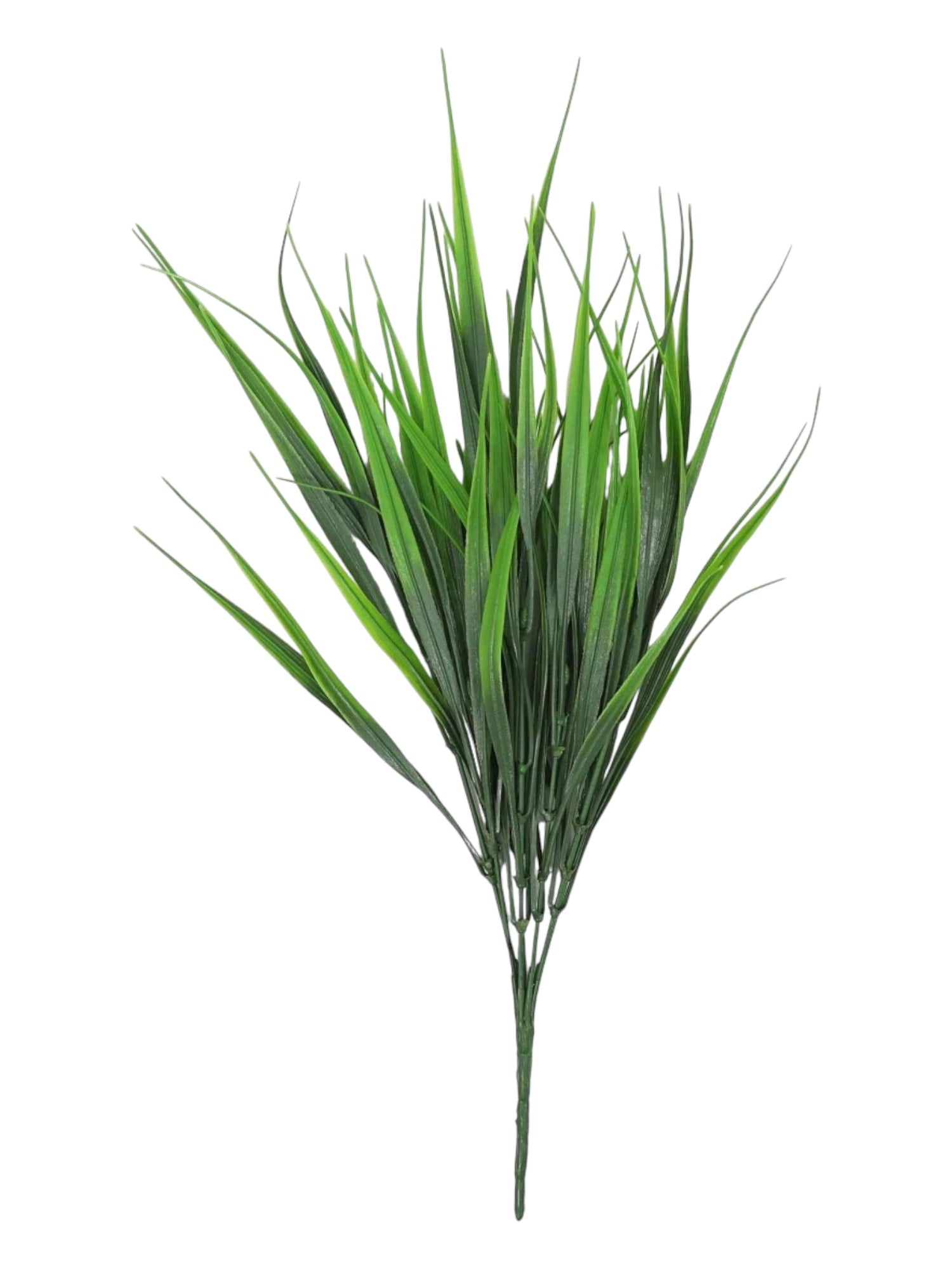 vanilla grass