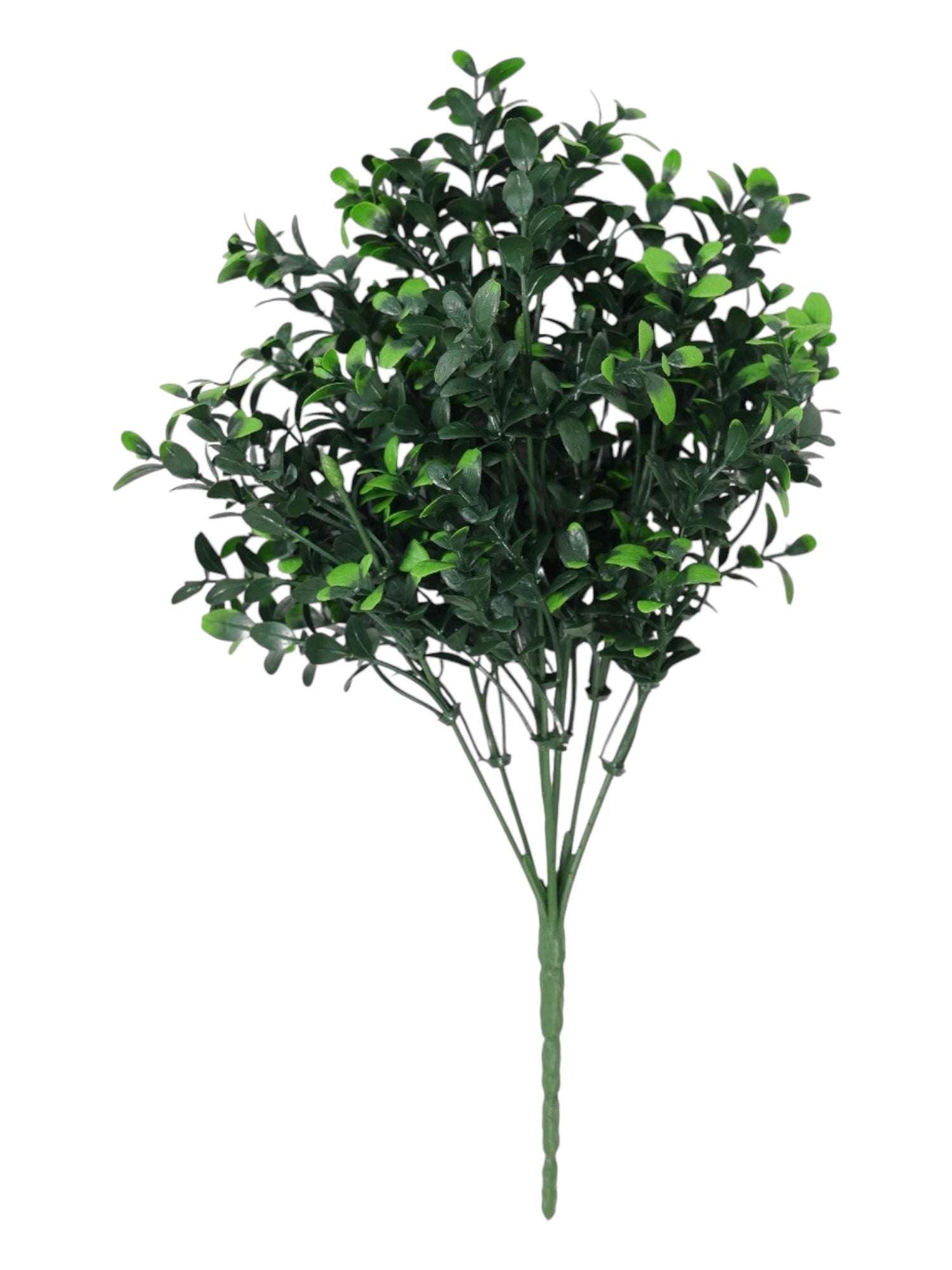 uv money grass boq 37cm