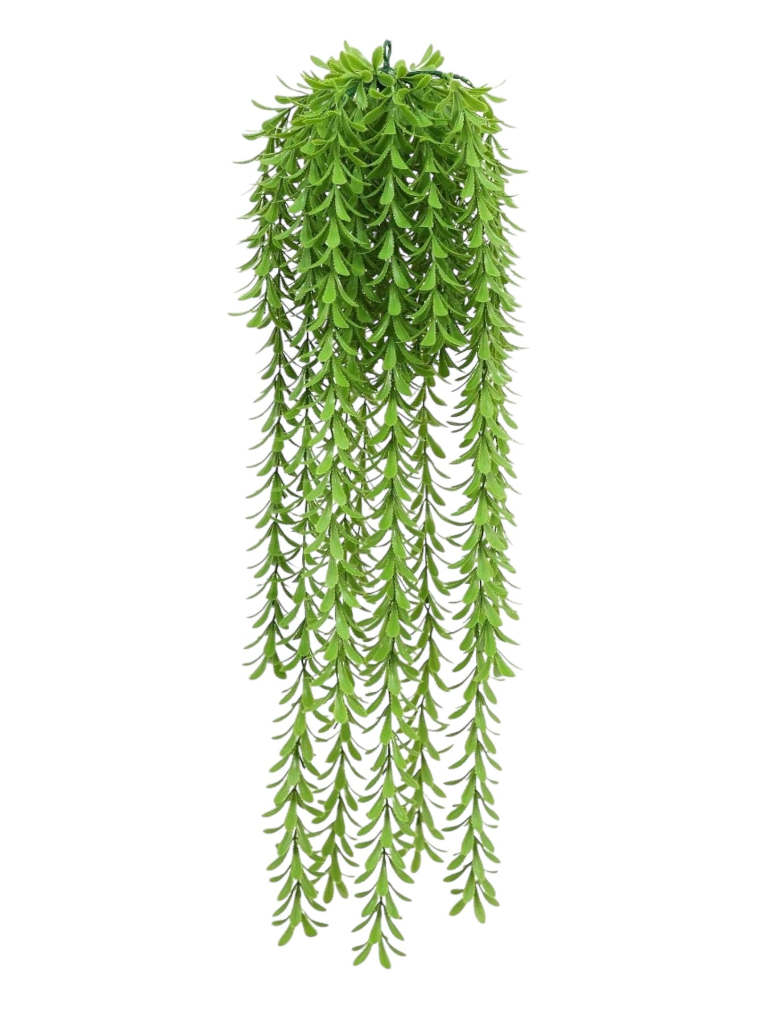 uv 70cm hanging longfern