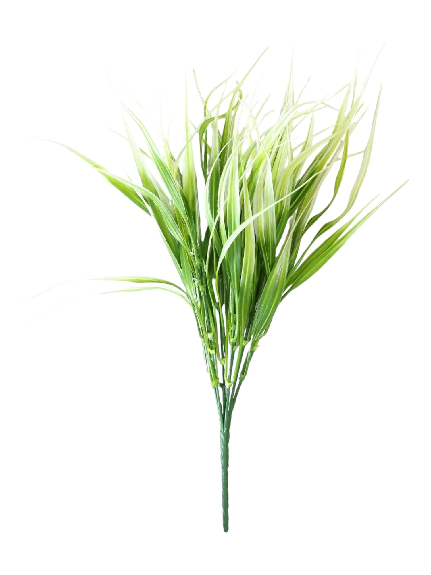 vanilla grass