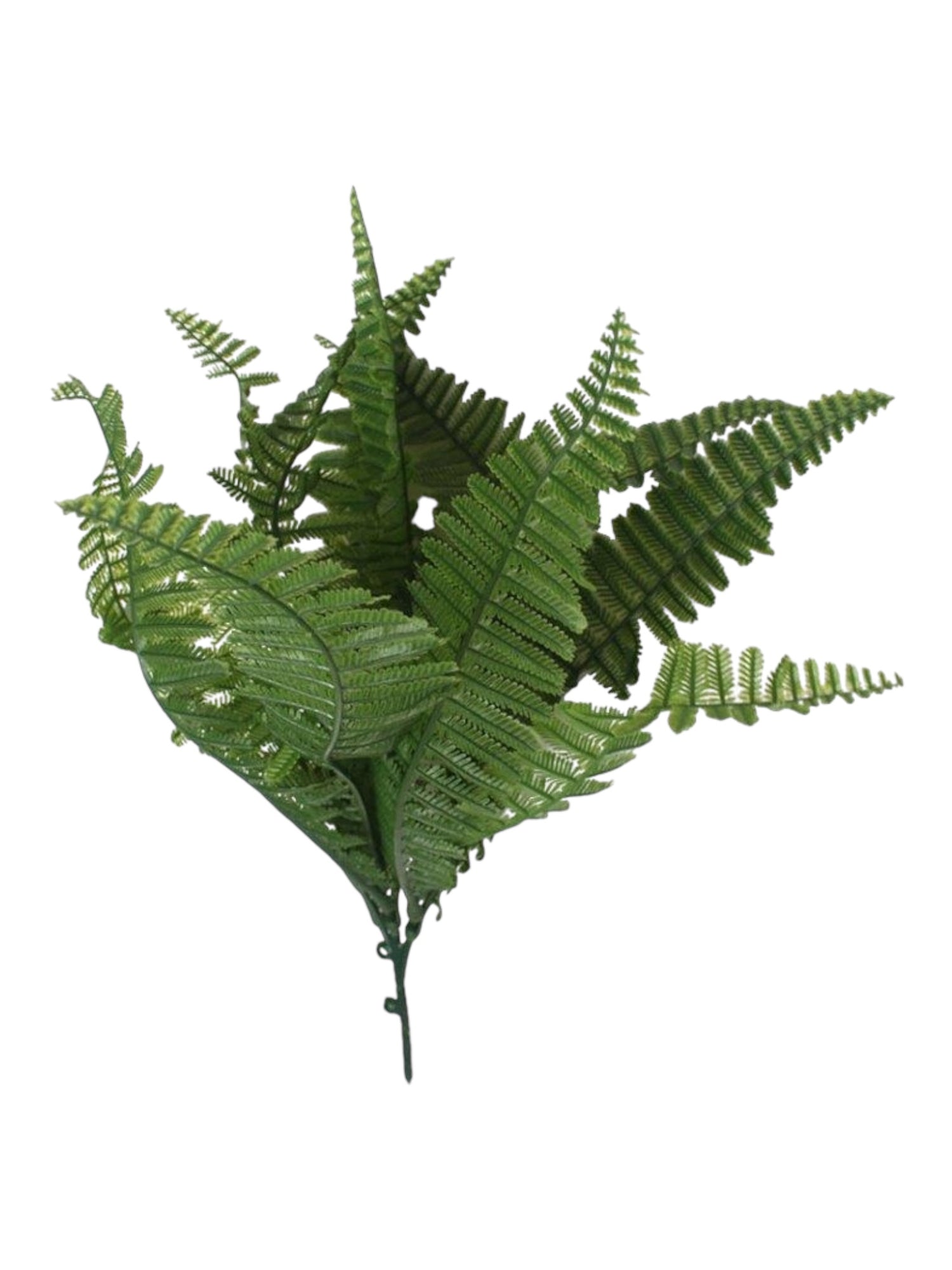 grass fern bouquet