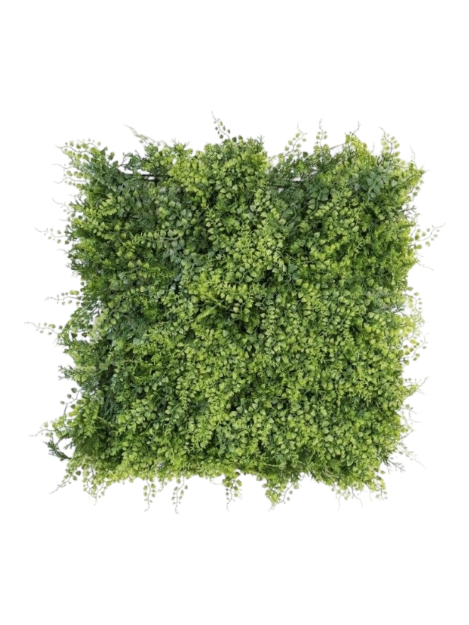 fern leaf mat 50 x50