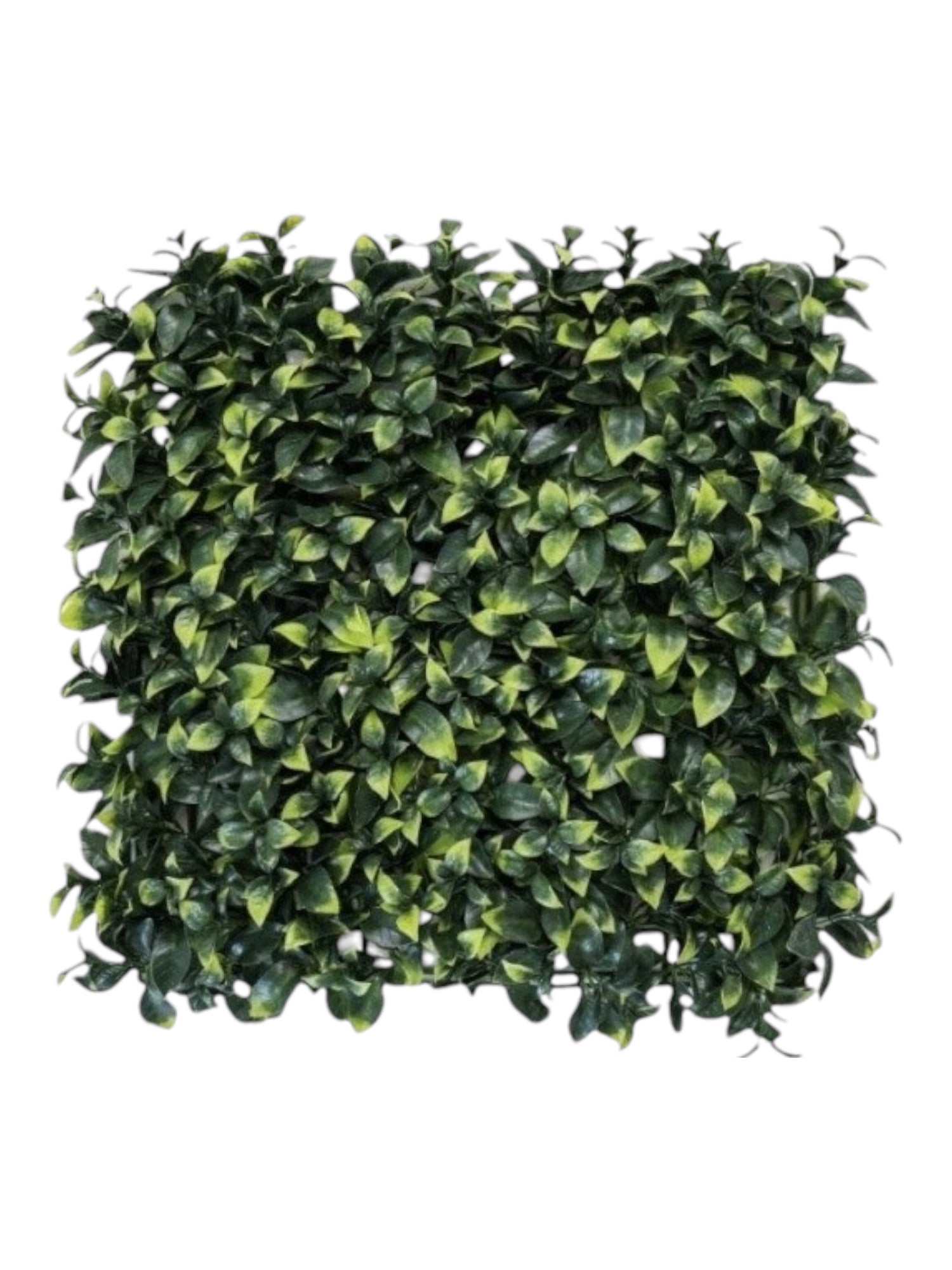 privet leaf mat 50x50