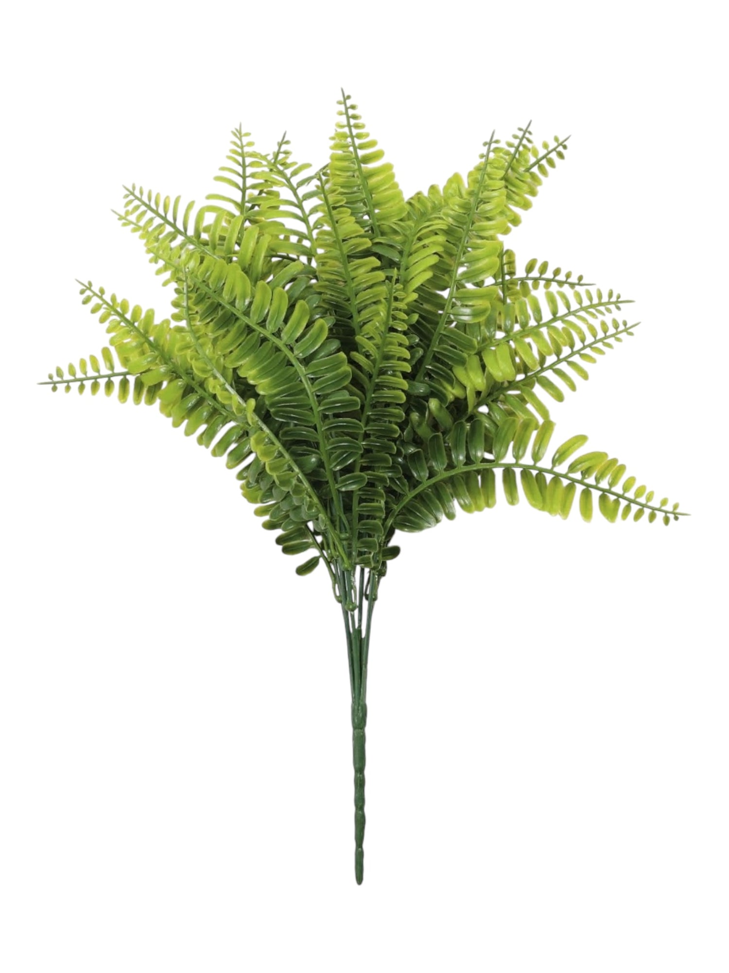 uv 40cm fern bush