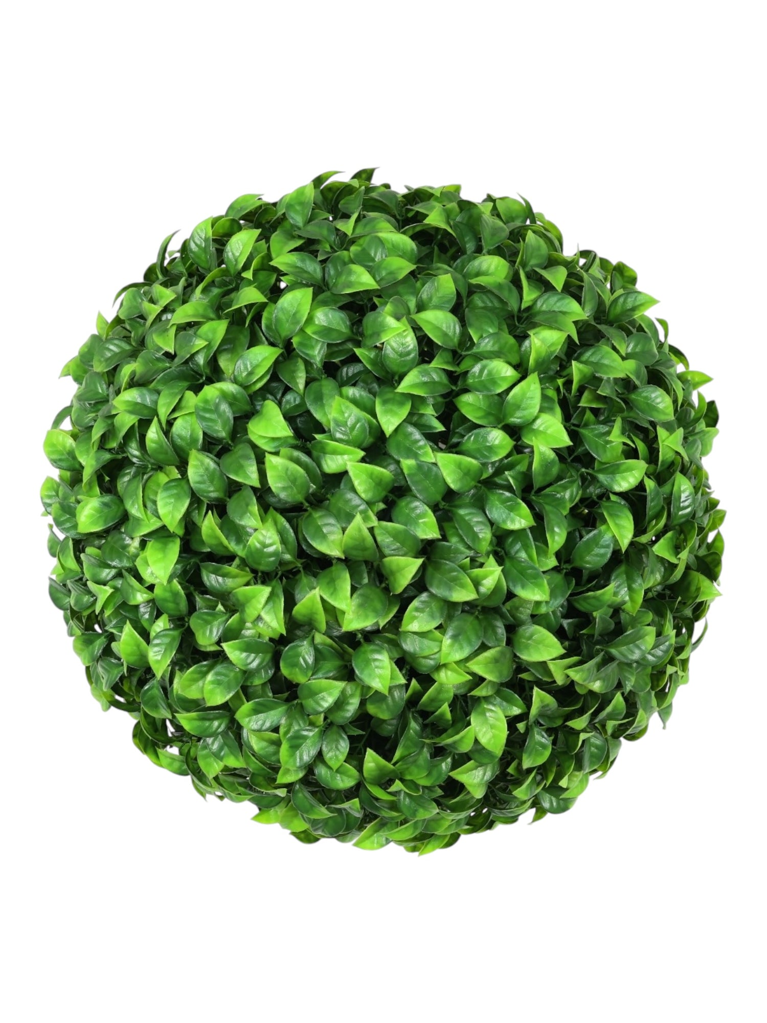 privet uv ball