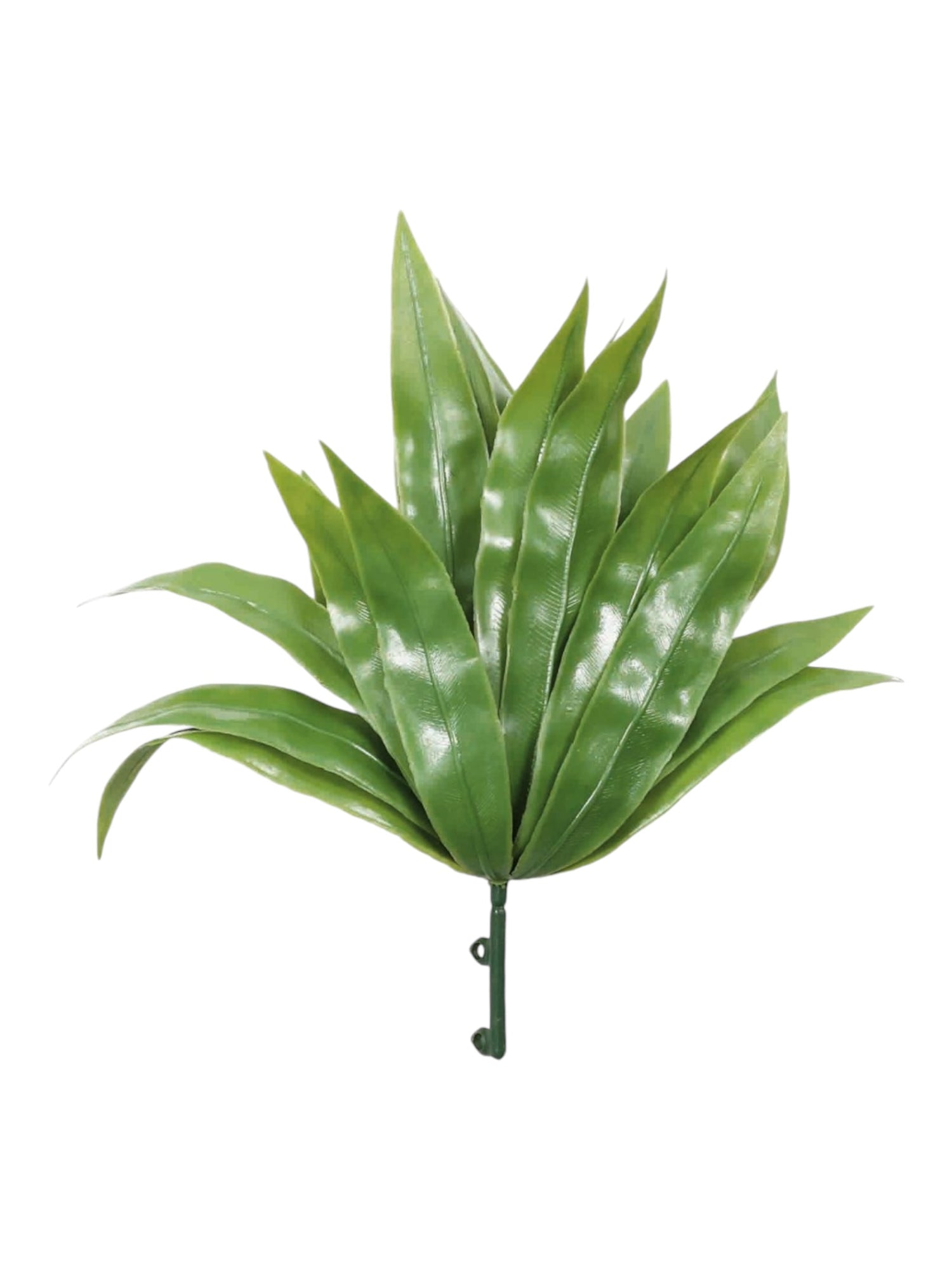 uv agave 24.5 cm