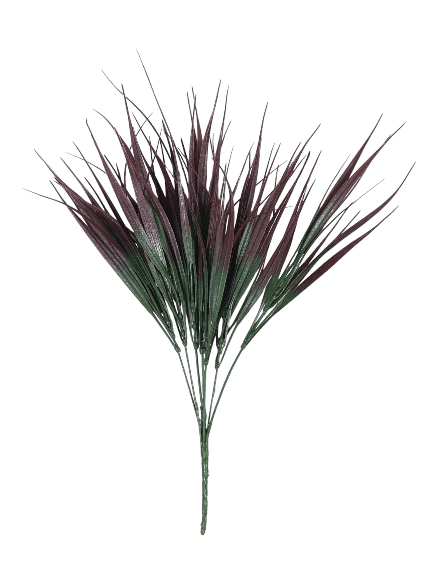 vanilla grass