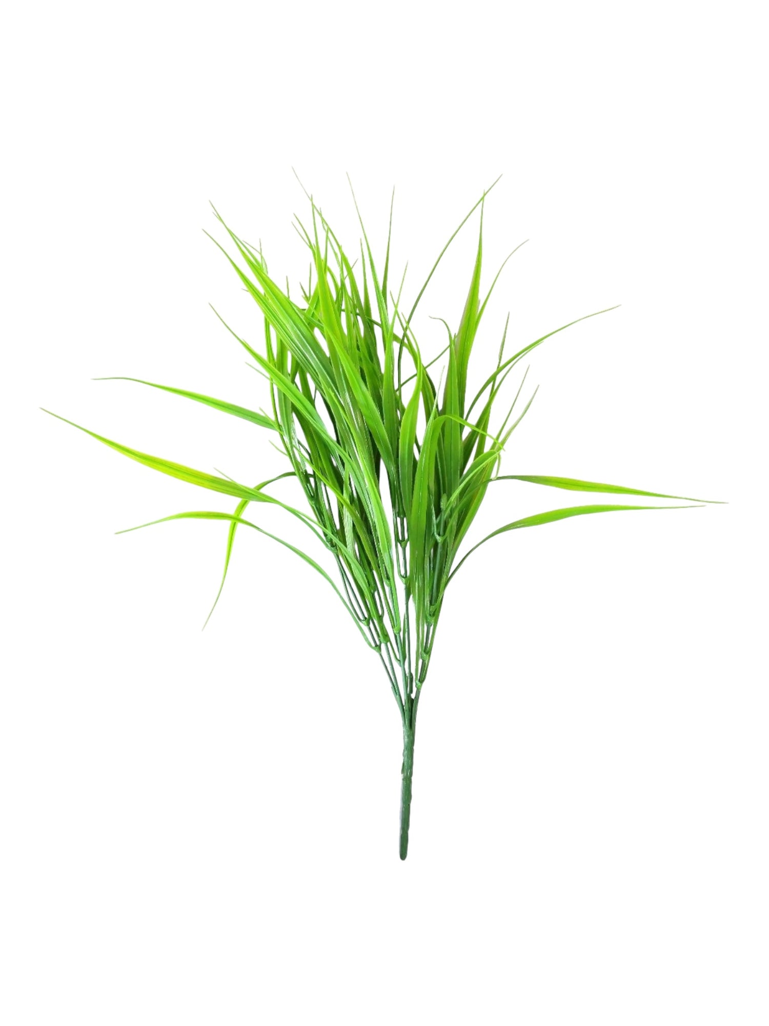vanilla grass