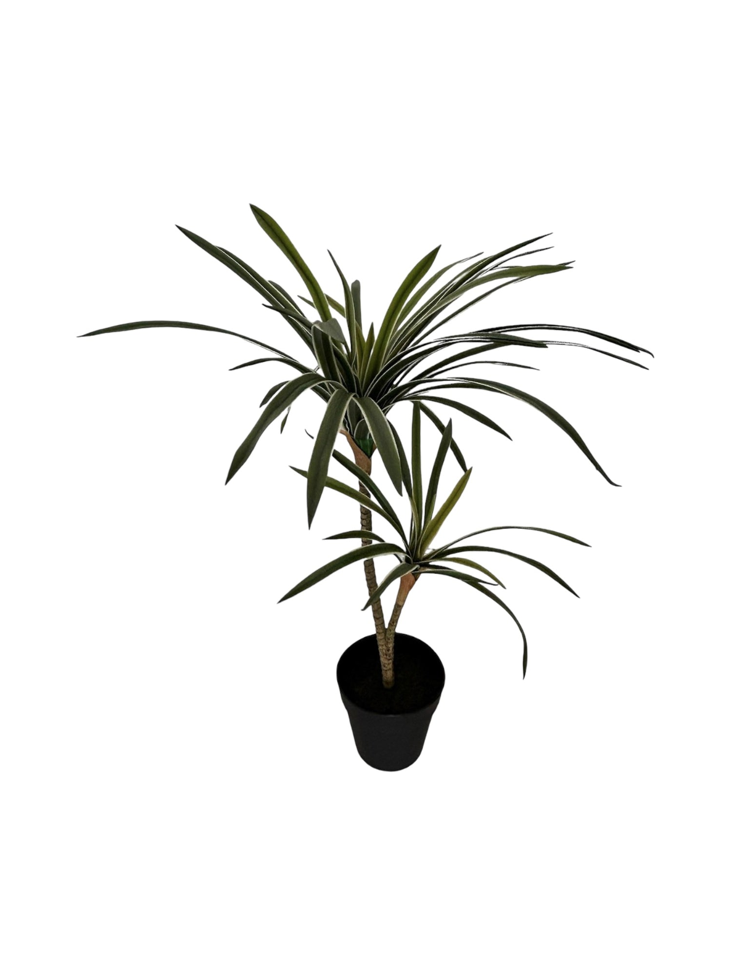 dracaena tree 17"