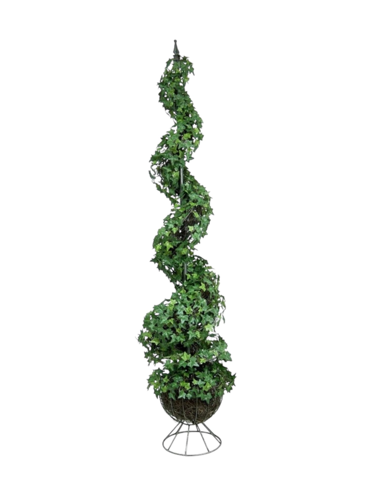 6ft ivy spiral toupairy