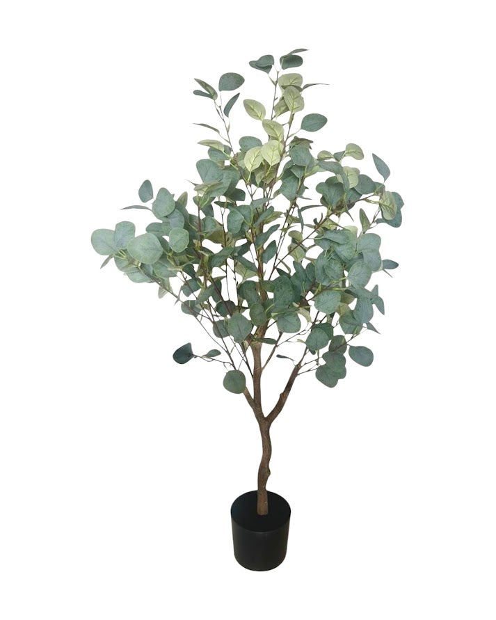 4ft eucalytus tree and black steel planter combo